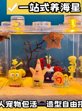 海星缸海绵宝宝创意桌面摆件