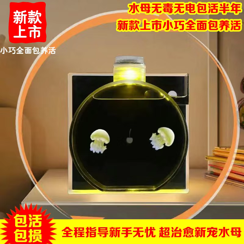 水母活物宠物专业缸入门桌面观赏循环带过滤灯光专用环流生态鱼缸