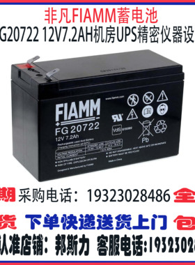 FIAMM非凡蓄电池FG20722 20721 21201 21202 21803 22703 FG系列
