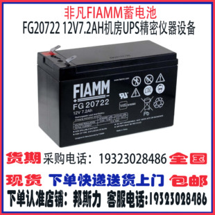20721 22703 21201 21803 FG系列 21202 FIAMM非凡蓄电池FG20722
