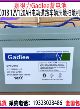嘉得力Gadlee蓄电池DP00018 12V120AH GT50 55 70 75洗地机扫地机