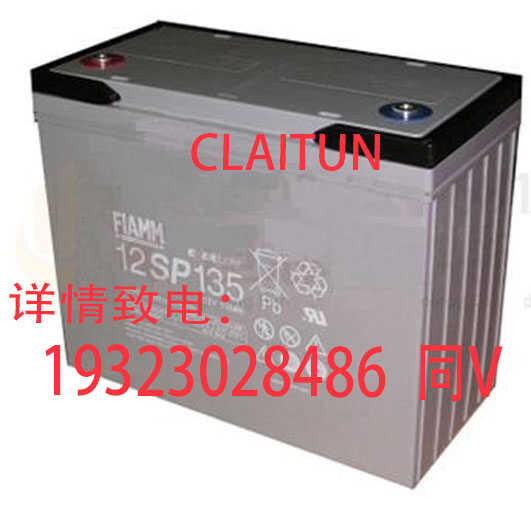 蓄电池意大利FIAMM12V135AH