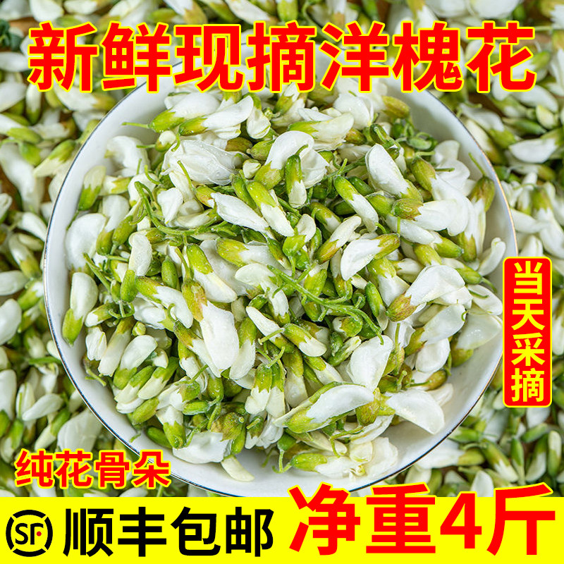 2026现摘槐花新鲜洋槐花4斤顺丰杨槐花骨朵花苞当季野生菜山东