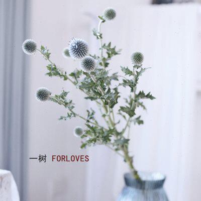 新品一树|进口刺芹鲜花 蓝星球水养 蓝色配花云南直发任意2扎顺丰