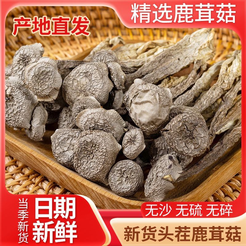 【央妈推荐】云南精品鹿茸菇