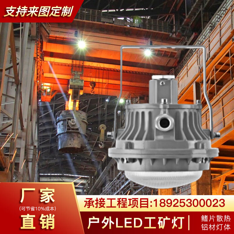 ZX-TDD03-13户外工作灯工厂车间仓库灯40W超亮光源工矿灯吊装