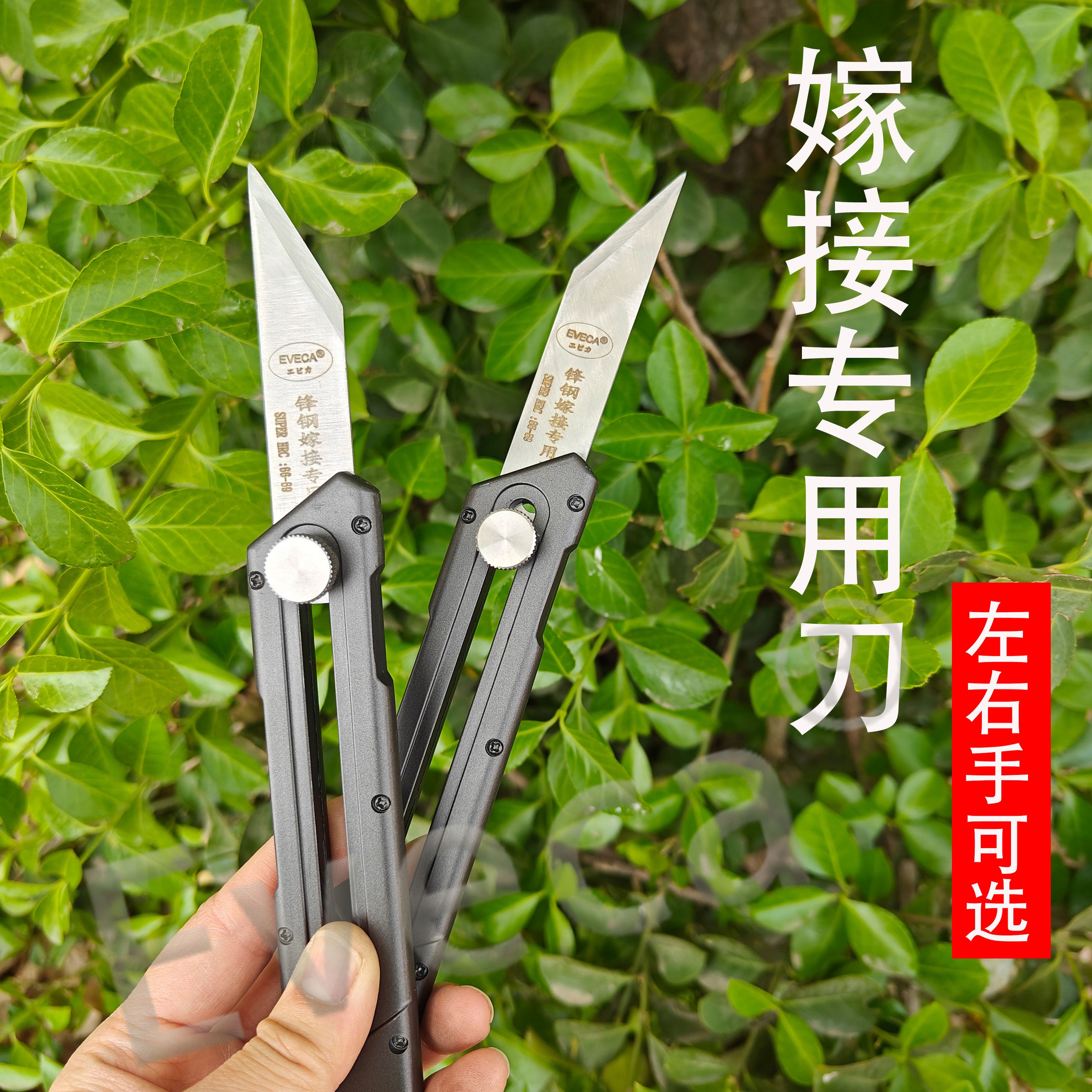 嫁接刀可拆卸替换式刀片