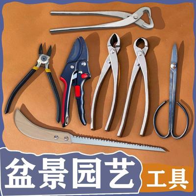 园艺盆景果剪专用剪枝剪叶芽剪球节剪尖嘴剪水口剪省力家用树剪