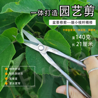 Eveca园艺剪叶芽剪嫩芽剪刀插花盆景枝叶剪修枝小枝剪尖头剪子