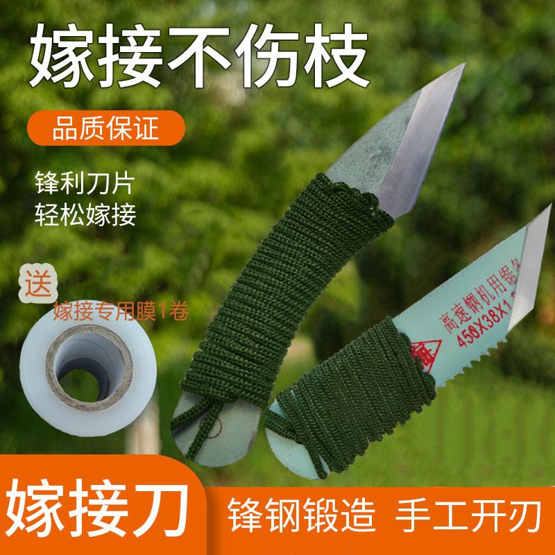 嫁接专用刀特级锋钢芽接刀