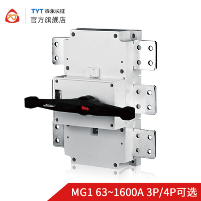MG1-630/250长九隔离开关3P4P63A