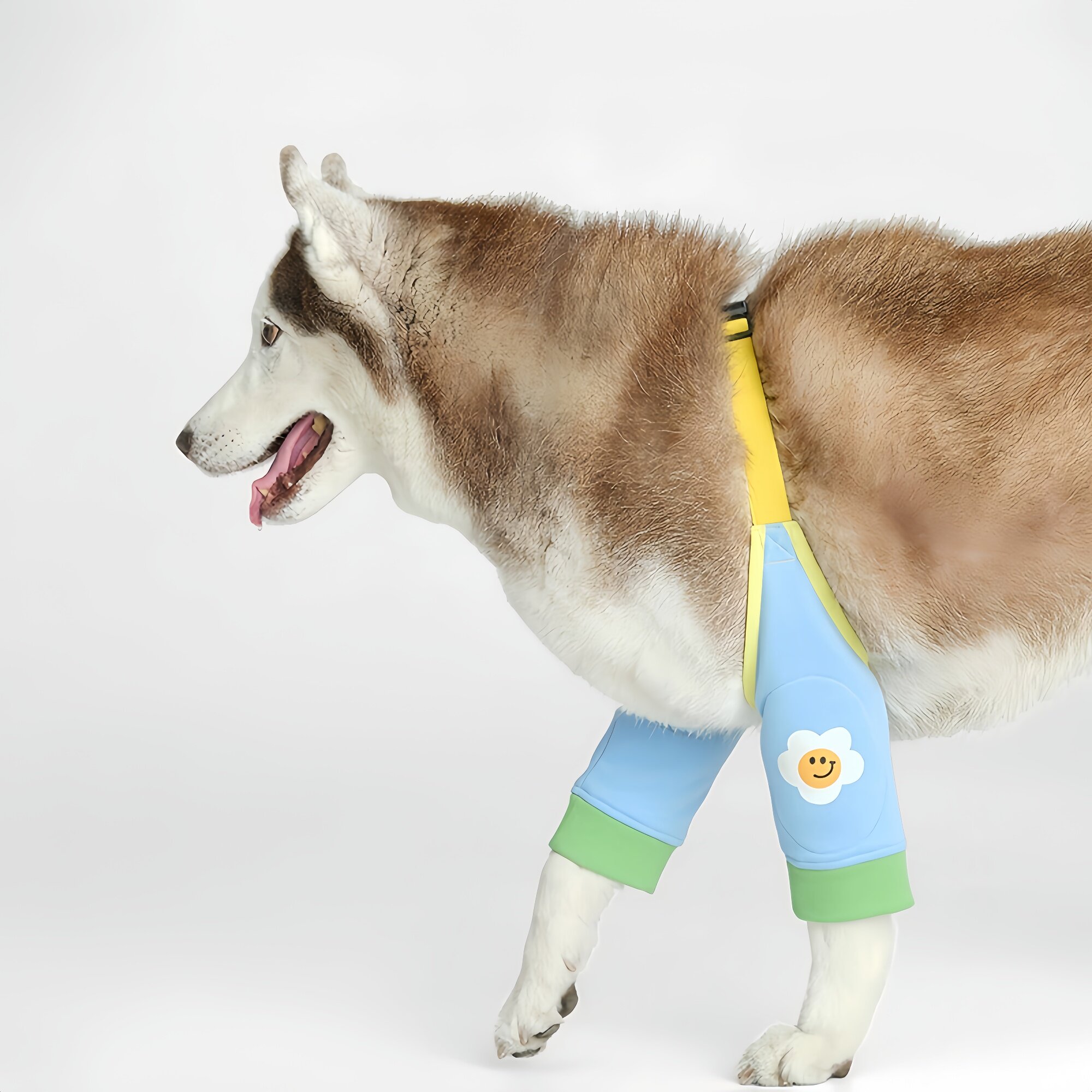 狗狗护肘衣服关节保护套大狗宠物防脏神器护膝外出四季通用