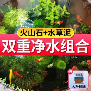 【新客立减】古法养鱼火山石水培沙鱼缸底砂造景石水草泥不浑水