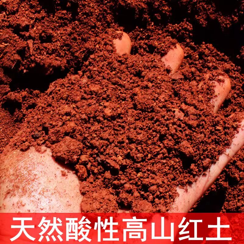 云南红土种植土纯天然高原酸性腌鸭蛋红泥土养花种菜通用营养土