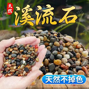 【纯天然】溪流沙石原生鱼缸铺底石鹅卵石小石头造景装饰底砂龟缸