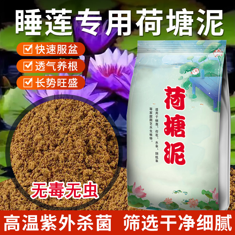月下紫藤鲜荷塘泥碗专用泥土塘泥