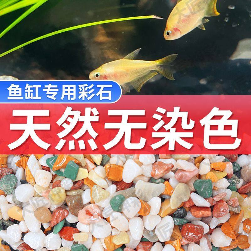天然五彩石雨花石鱼缸造铺底盆栽水培多肉植物铺面装饰小石头,宠物/宠物食品及用品,造景/装饰,淘宝优惠券,粉丝福利购,淘宝优惠卷