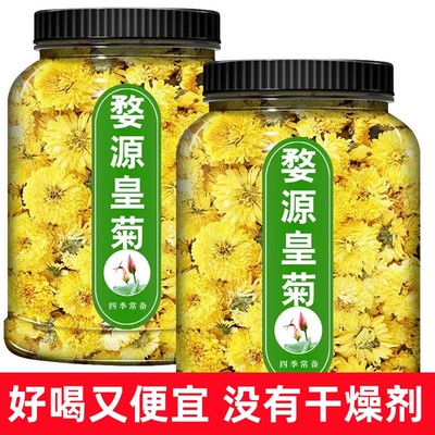 菊花茶 黄菊花正品精品徽州皇菊新货罐装优质可配枸杞组合花茶