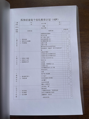 IEP档案套装自闭症训练康复