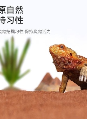 红色爬宠垫材爬宠钙沙鬃狮蜥守宫蝎子陆龟蛇饲养用品造景