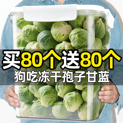 狗狗零食冻干孢子甘蓝宠物拌饭