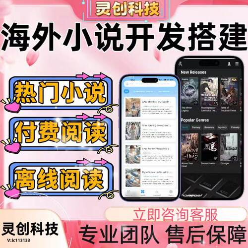 海外小说h5系统搭建广告对接分销系统源码部署APP软件开发定制