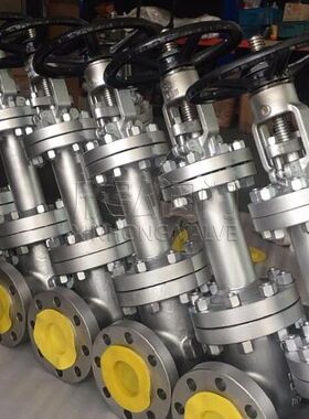 法兰闸阀2205 2507双相钢 2520特材 310S不锈钢 耐海水腐蚀 欣弘