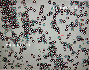 1um 蓝色荧光微球   5ml