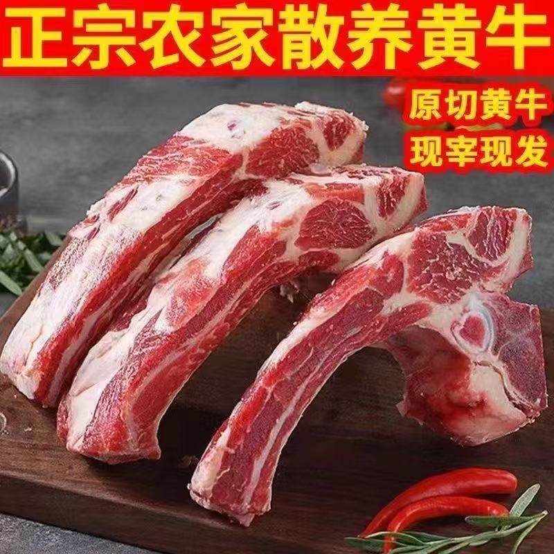 黄镖牛肋排新鲜牛排骨牛肉切块牛仔骨牛肋条牛排切块袋装