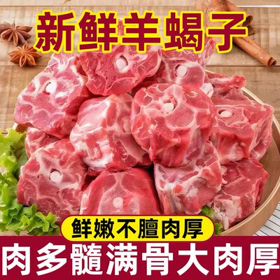 羊蝎子新鲜生鲜羊肉羊骨蝎子生鲜火锅食材羊脖子商用