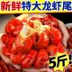 大号龙虾尾新鲜冷冻鲜活麻辣小龙虾商用整箱批发 新日期
