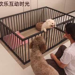 高端柯基泰迪狗笼子小型犬中型犬宠物栅栏围栏隔离门室内自由组合