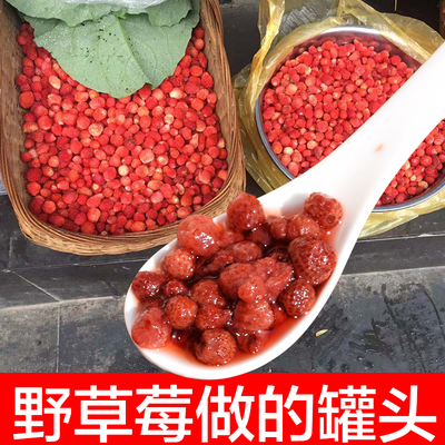 岷县野草莓罐头甘肃陇南瓢子