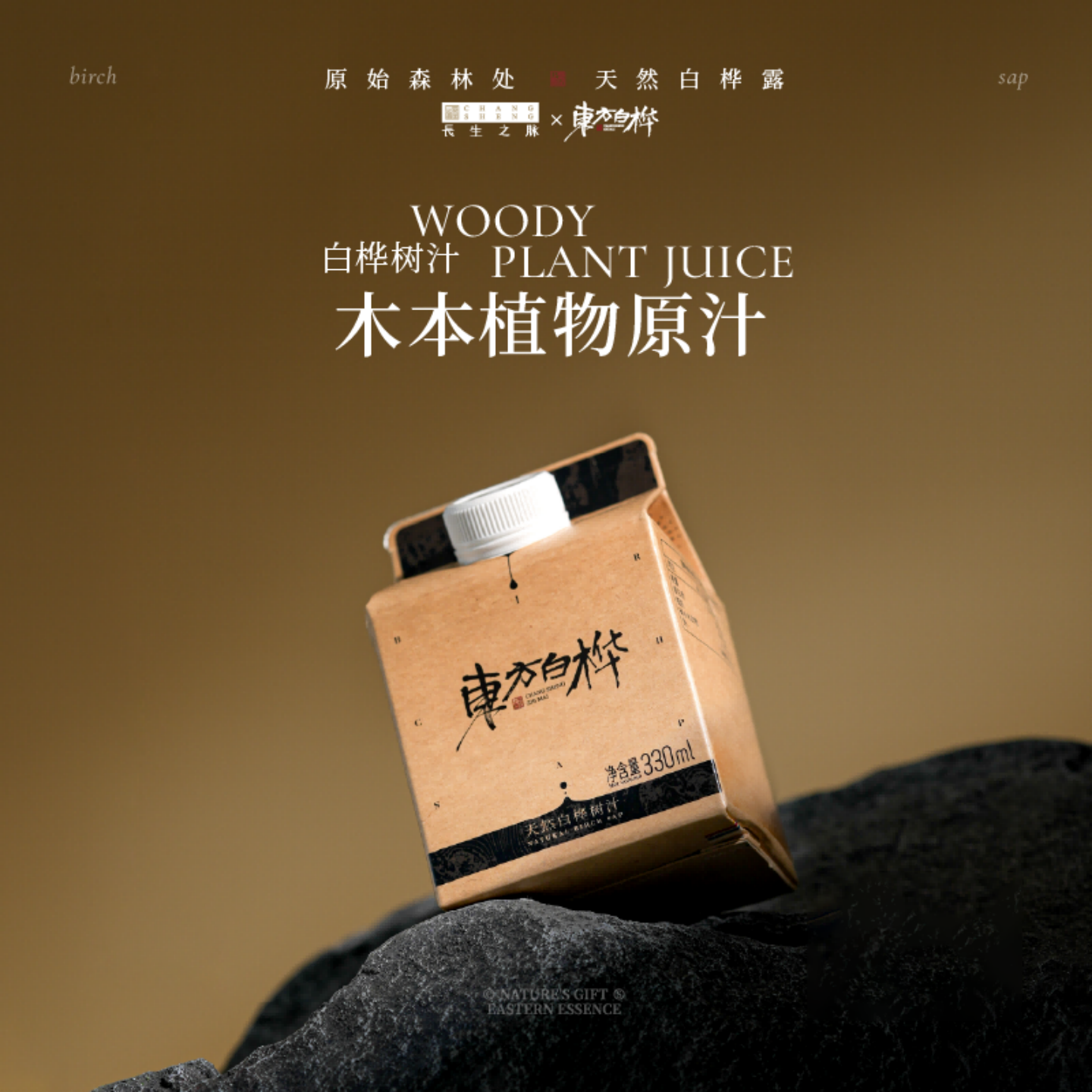 长生之脉白桦树汁屋顶包