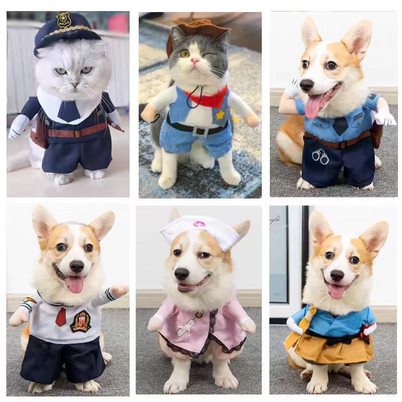 猫咪衣服狗狗宠物服饰可爱小夏季