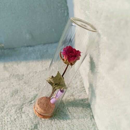 小王子的玫瑰花玻璃瓶