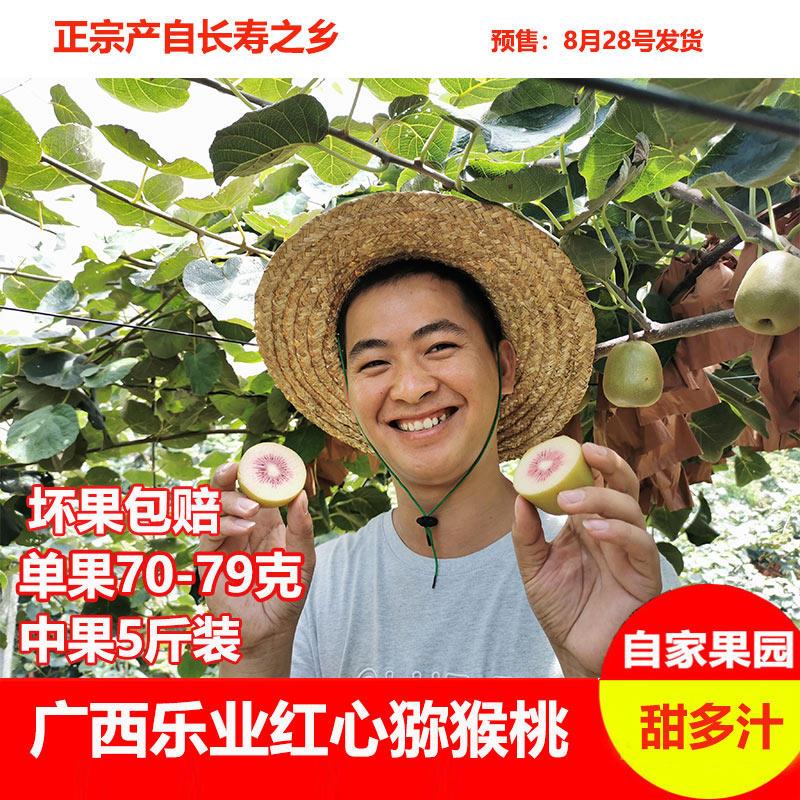 广西乐业红心猕猴桃8月当季水果新鲜红心奇异中果5斤整箱应季包邮