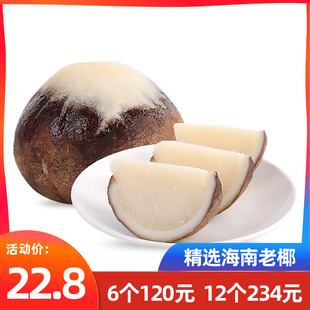 琼宝原味椰子饭560g正宗海南特产椰香糯米饭方便速食酒店餐饮商用