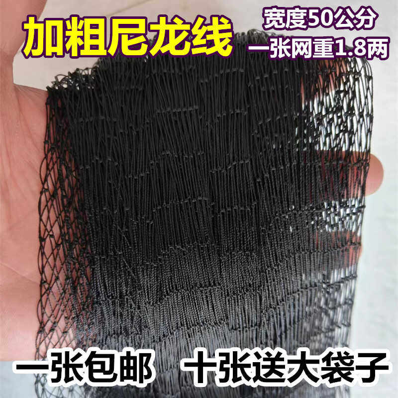 辣条专用鱼网尼龙加粗加长防虫柔软黑色单层渔网可防护网泥鳅捕鳝