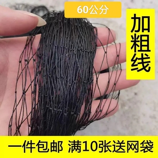 长虫网尼龙网黑色尼龙网单层鱼网捉黄鳝捕鱼尼龙网加粗防蛇尼龙网