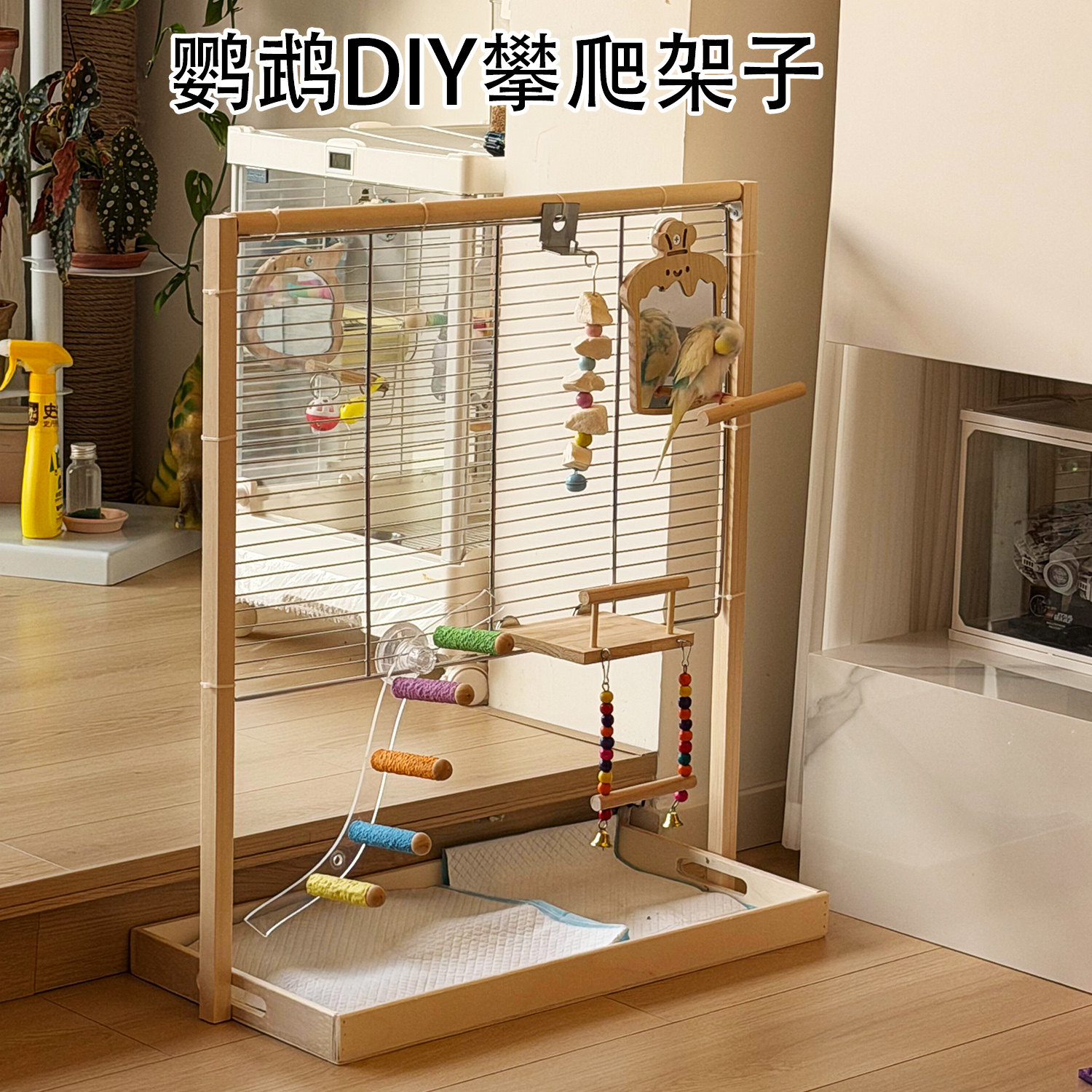 DIY鹦鹉站架解闷游乐场耐啃耐磨图片