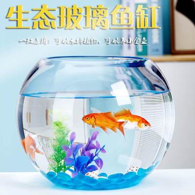 小鱼缸一体式小型易打理桌面花瓶圆形茶几创意加厚花盆柜子器皿蛋