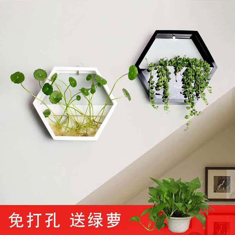 客厅餐厅墙面装饰墙壁挂件水培绿萝创意壁挂花盆挂墙绿植背景墙,家居饰品,壁饰,淘宝优惠券,粉丝福利购,淘宝优惠卷
