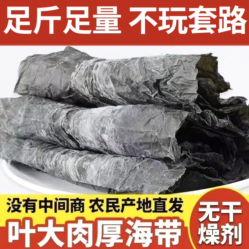 干净无沙 日期新鲜 霞浦头茬海带