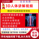 中医3d个体视频教程永久有效