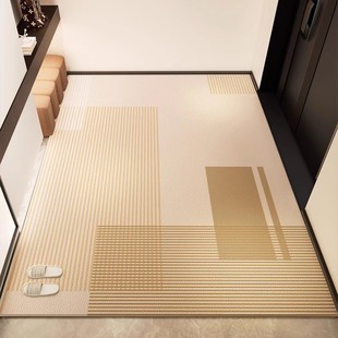 入户门地垫2025新款 进门家用pvc脚垫玄关大门口耐脏门垫可擦洗