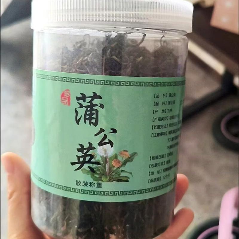 蒲公英叶免洗精选不带根婆婆丁叶冲泡茶水干货罐装花茶纯天然