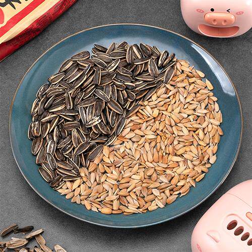 懒人嗑瓜子器瓜子脱壳机自动剥瓜子神器剥壳器电动小孩嗑瓜子工具