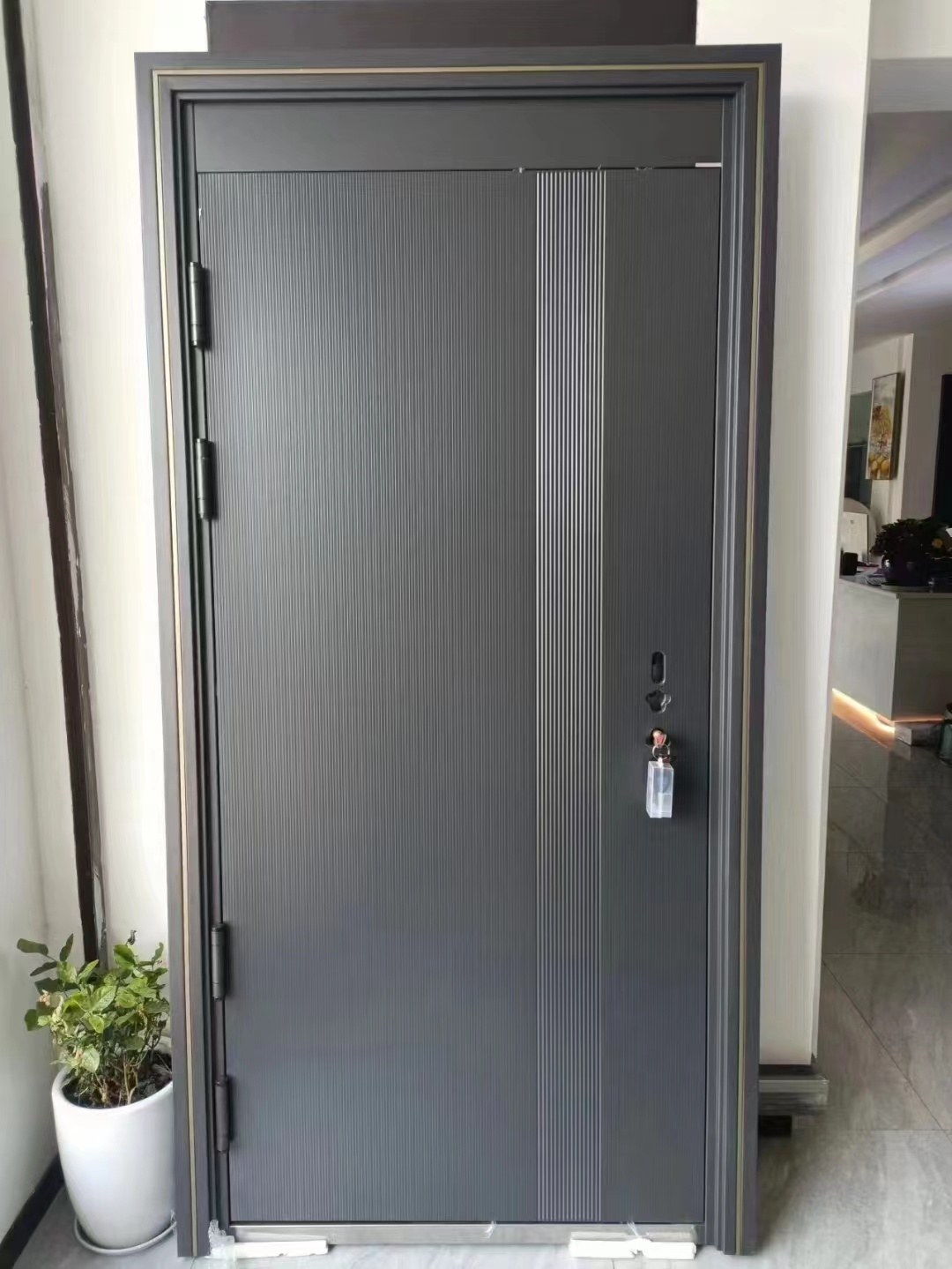 入户甲级防盗门家用进户门户外门庭院门子母门钢质门别墅门对开门