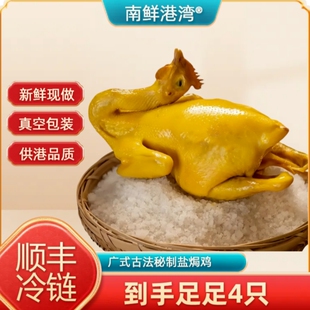 【4只】南鲜港湾古法秘制盐焗鸡原味广式豉油卤真空熟食手撕烧鸡